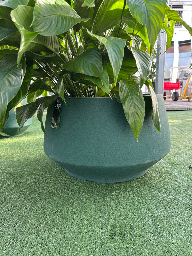Brut Round Planter – Moss Green Matte Modern Indoor Plant Pot