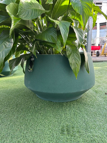 Brut Round Planter – Moss Green Matte Modern Indoor Plant Pot