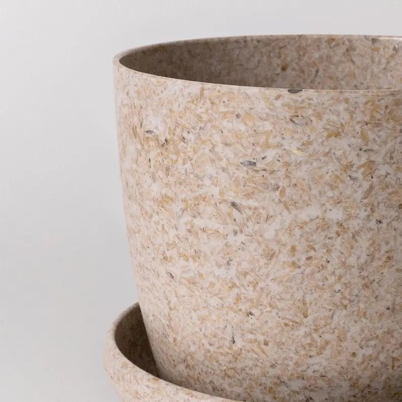 Close-up of a textured recycled pot on a light gray background