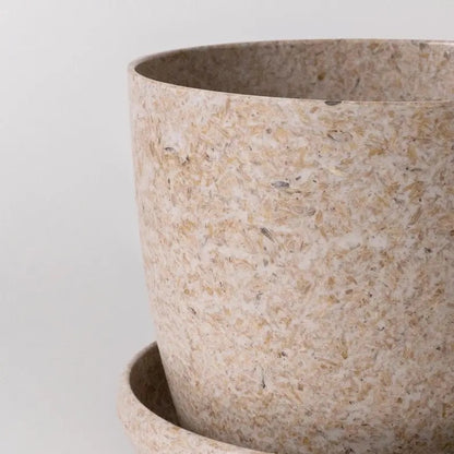Close-up of a textured recycled pot on a light gray background