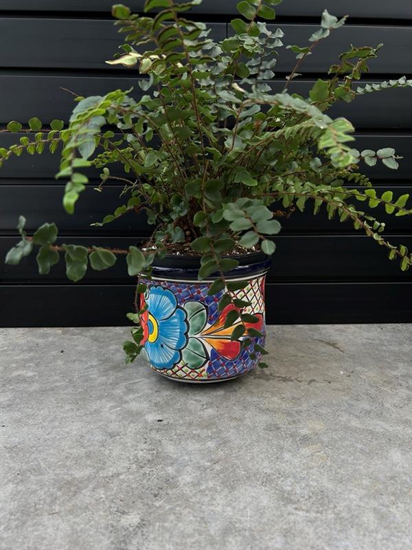 Mexican Planters – Hand-Painted Terracotta Pots with Vibrant Folk Art Designs