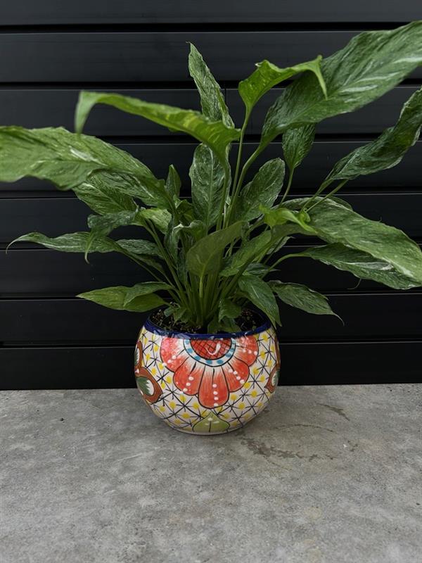 Mexican Planters – Hand-Painted Terracotta Pots with Vibrant Folk Art Designs