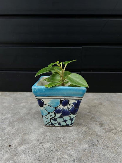 Mexican Planters – Hand-Painted Terracotta Pots with Vibrant Folk Art Designs