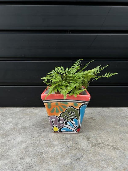 Mexican Planters – Hand-Painted Terracotta Pots with Vibrant Folk Art Designs