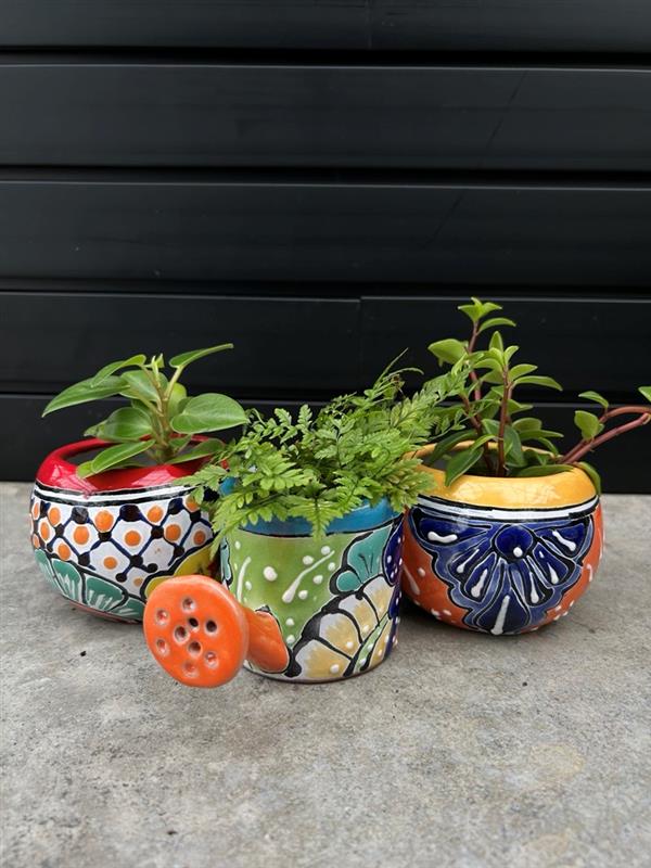 Mexican Planters – Hand-Painted Terracotta Pots with Vibrant Folk Art Designs