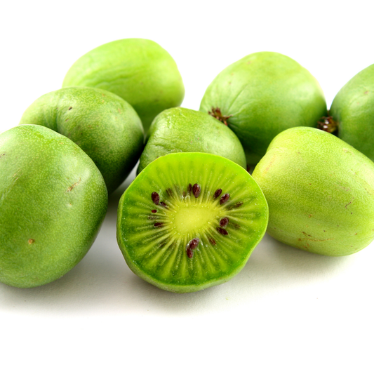 many bright green issai hardy kiwis with no fuzz and the one in the centre is ut in half displaying the inside with a lighter centre and dark brown seeds against a white background