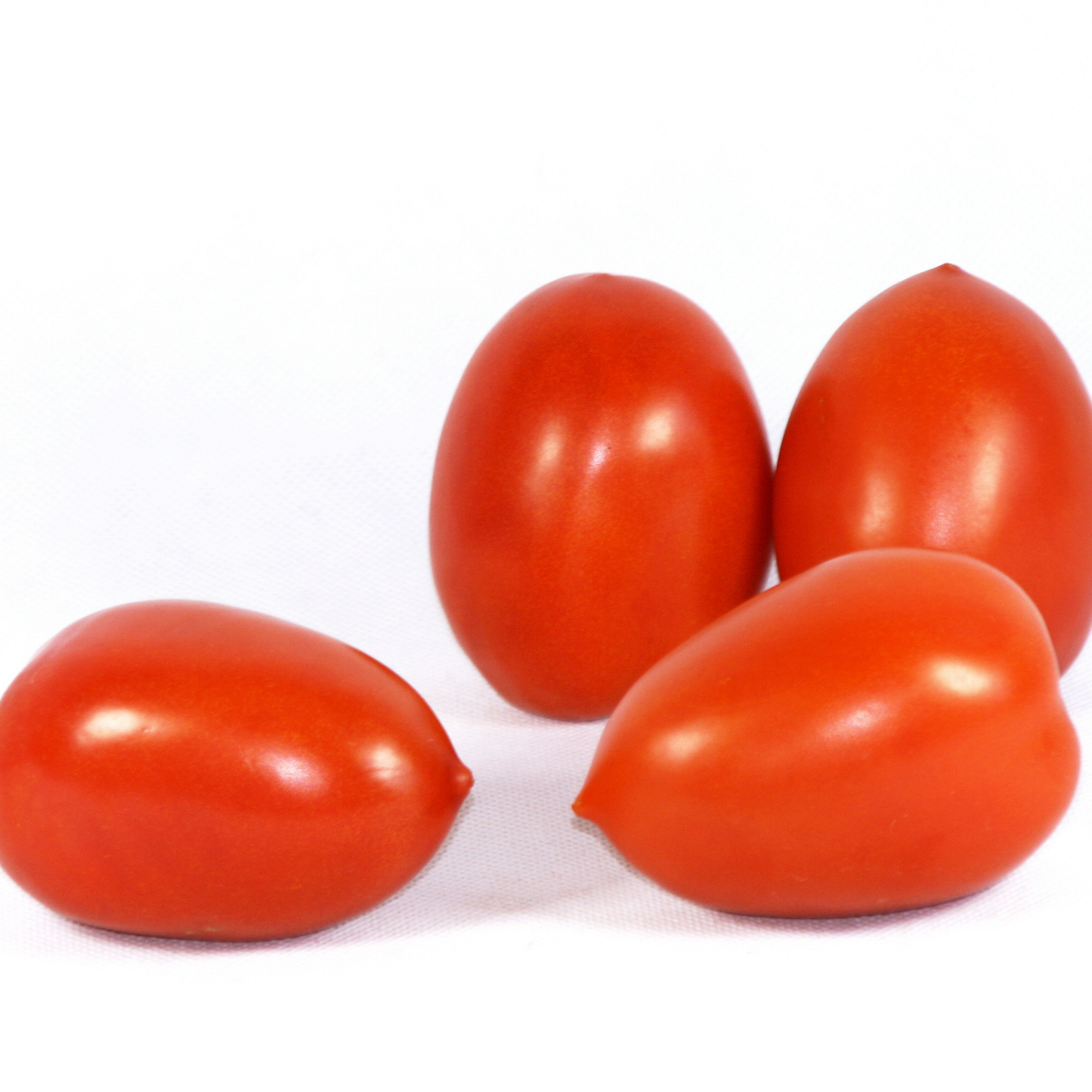 four bright red oval sharped la Roma tomatoes against a white background