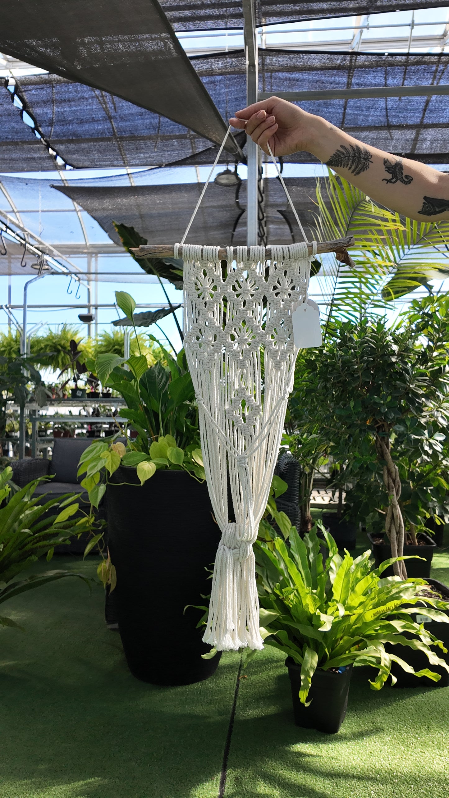 White macrame plant hanger held by a hand in a greenhouse setting