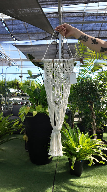 White macrame plant hanger held by a hand in a greenhouse setting