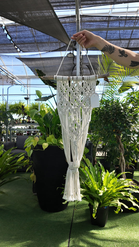 White macrame plant hanger held by a hand in a greenhouse setting