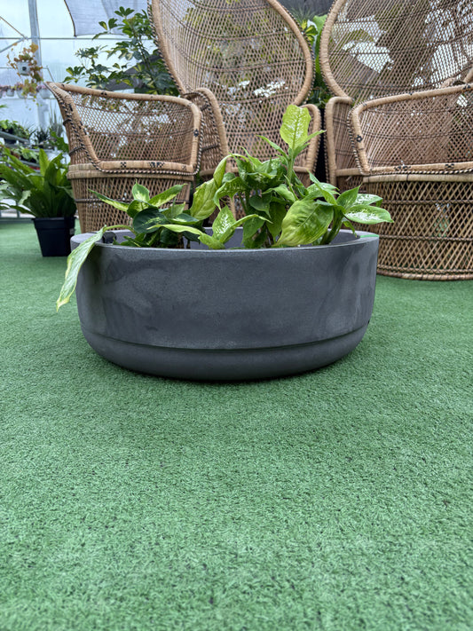 Large Round Dish Planter with Drip Tray with wicker chairs in background on grass like surface