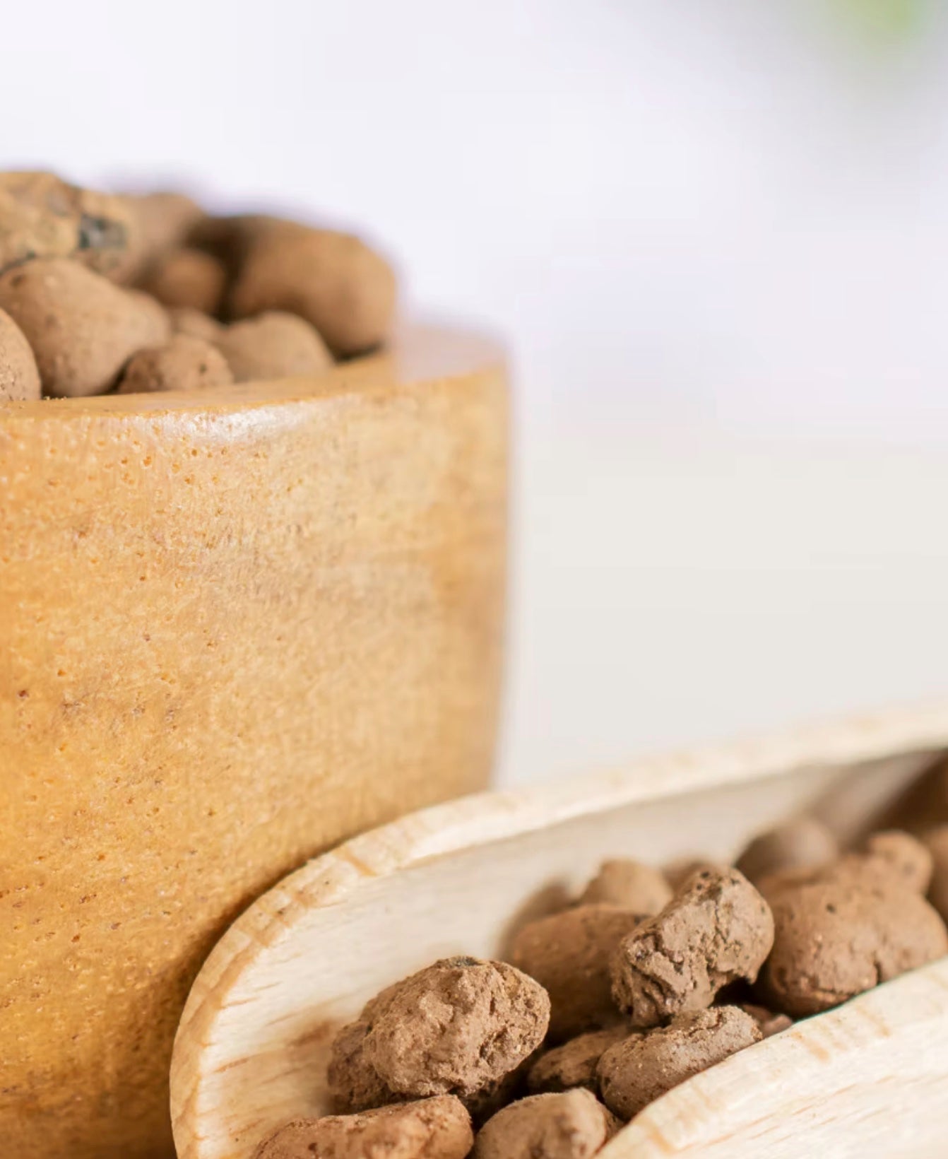 Close-up of LECA balls in a ceramic dish with a blurred background