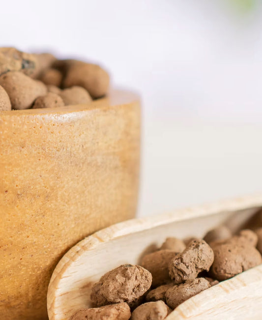Close-up of LECA balls in a ceramic dish with a blurred background