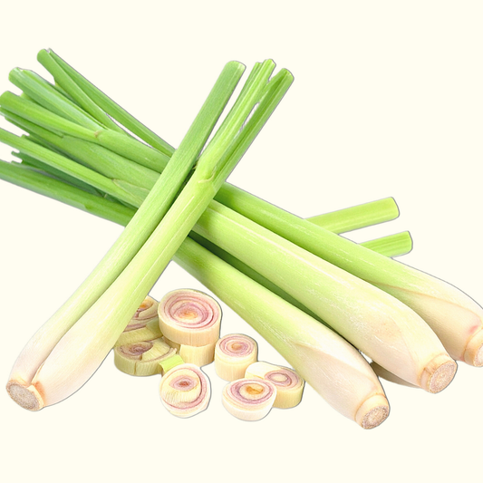 A bundle of fresh lemongrass stalks with several cut circular sections showing the layered inner core, arranged on a plain light background.