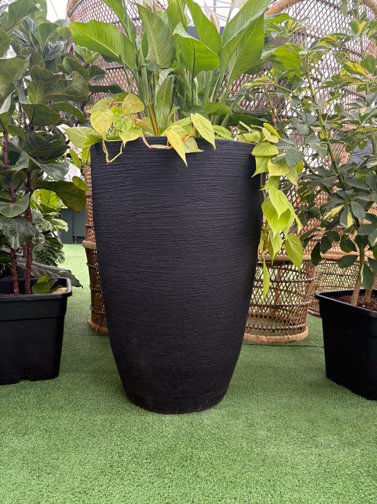 Linea Ellipse Planter with green foliage on grass like surface