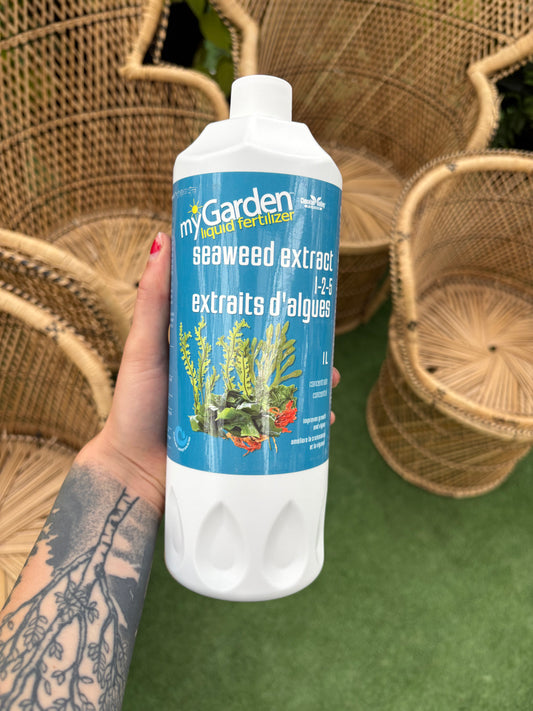 Hand holding a bottle of garden seaweed extract with a blurred background