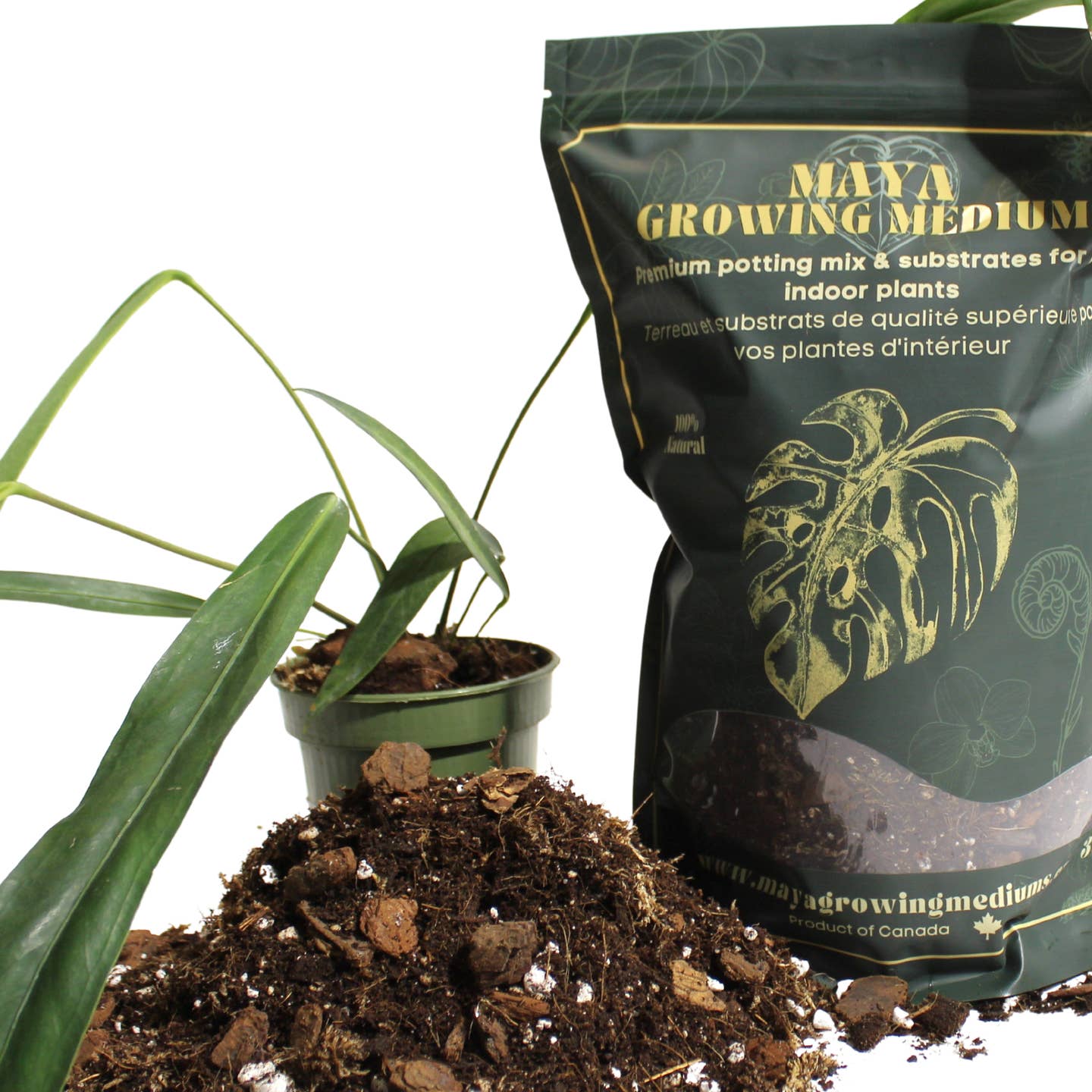 a bag of Maya growing medium aroid blend next to a plant and loose soil