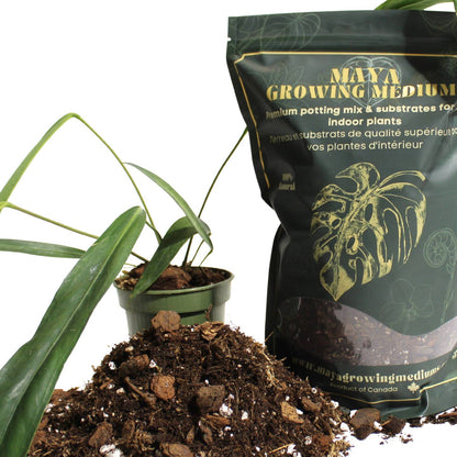 a bag of Maya growing medium aroid blend next to a plant and loose soil