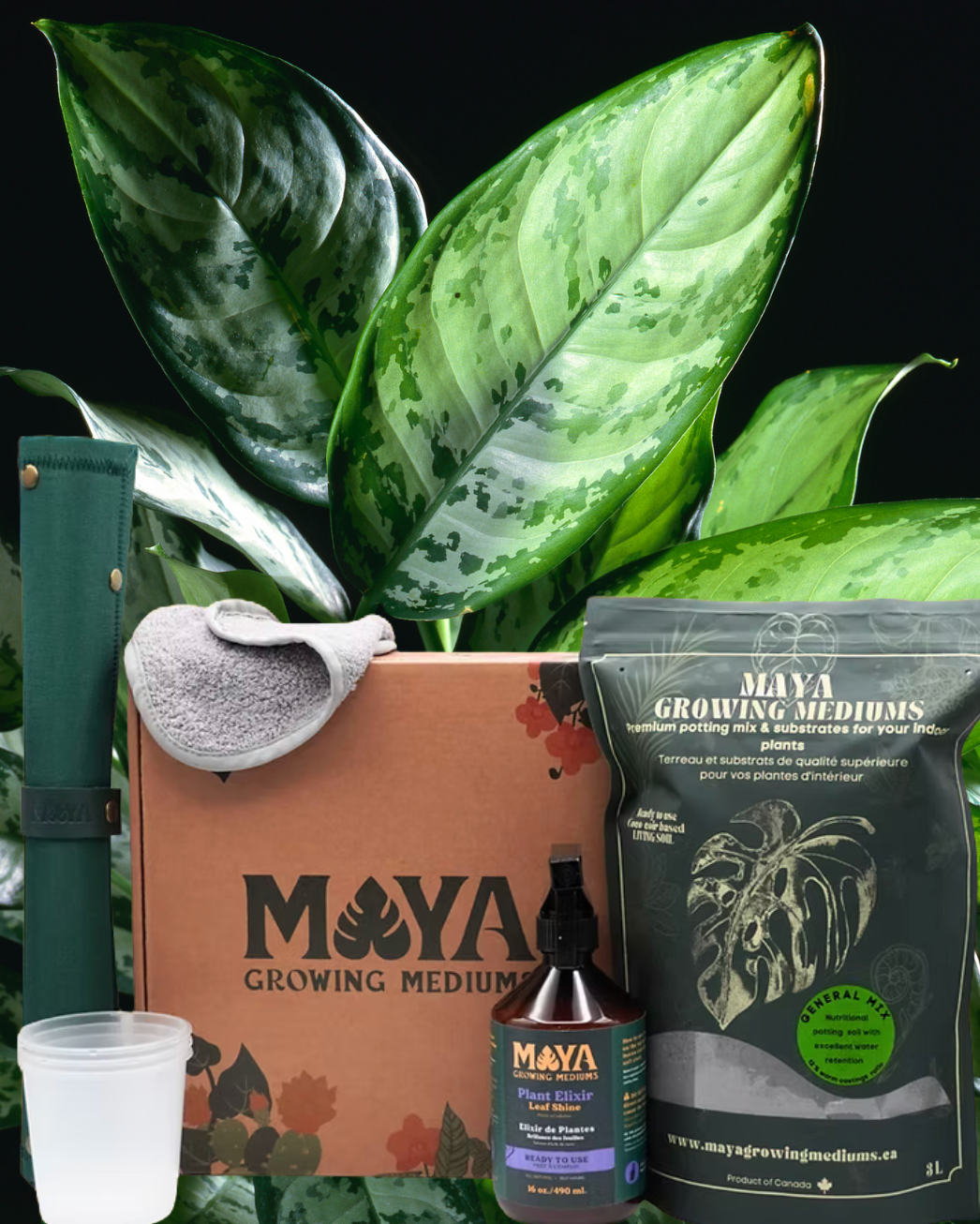 Maya Growing Medium products including a box, bottle, and packaging on a green leafy background