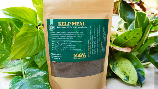 Bag of Kelp Meal fertilizer with green Maya growing mediums label on a background of green plants