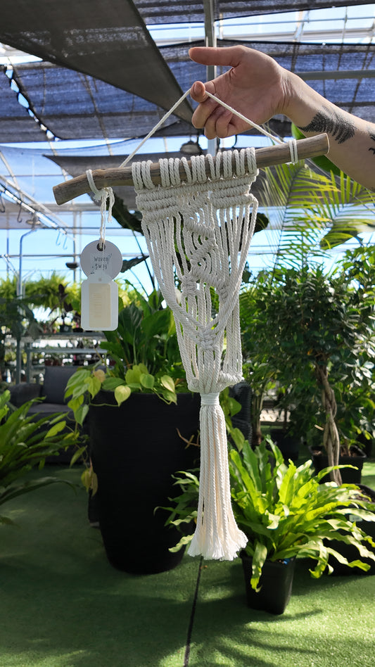 Macrame wall hanging held by a hand in a greenhouse setting