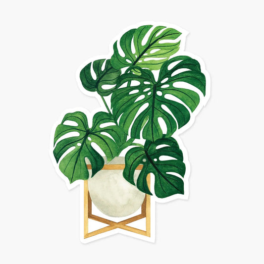 illustrative potted monstera plant sticker