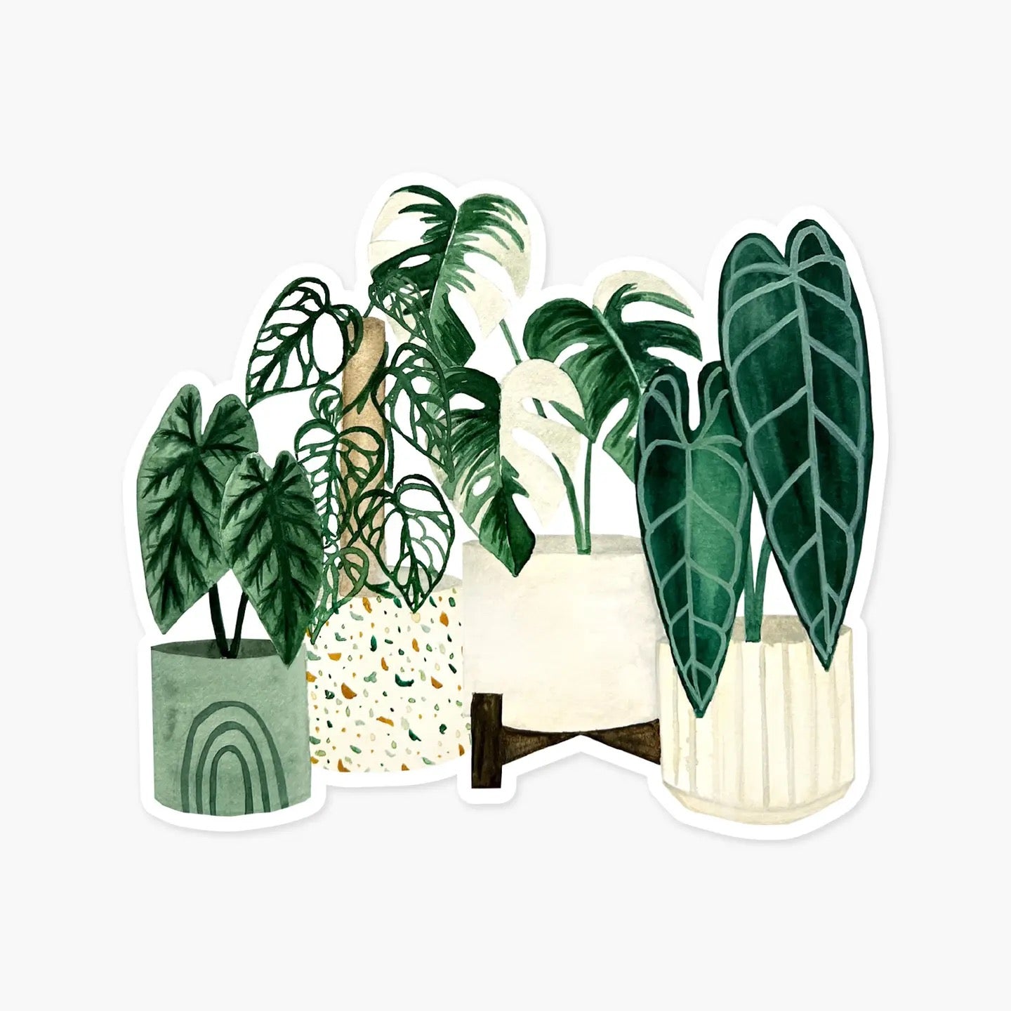 four illustrated plants sticker on white background
