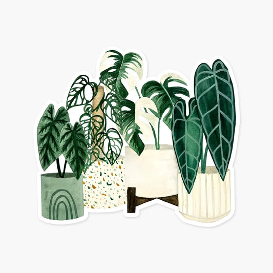 four illustrated plants sticker on white background