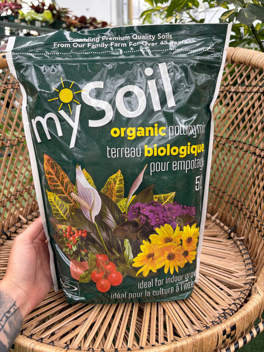 Hand holding a package of mySoil organic potting soil with a wicker chair and plants in the background.