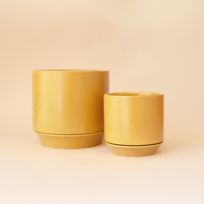 two yellow Parker planters with trivets and the planters are different sizes with a pale yellow background