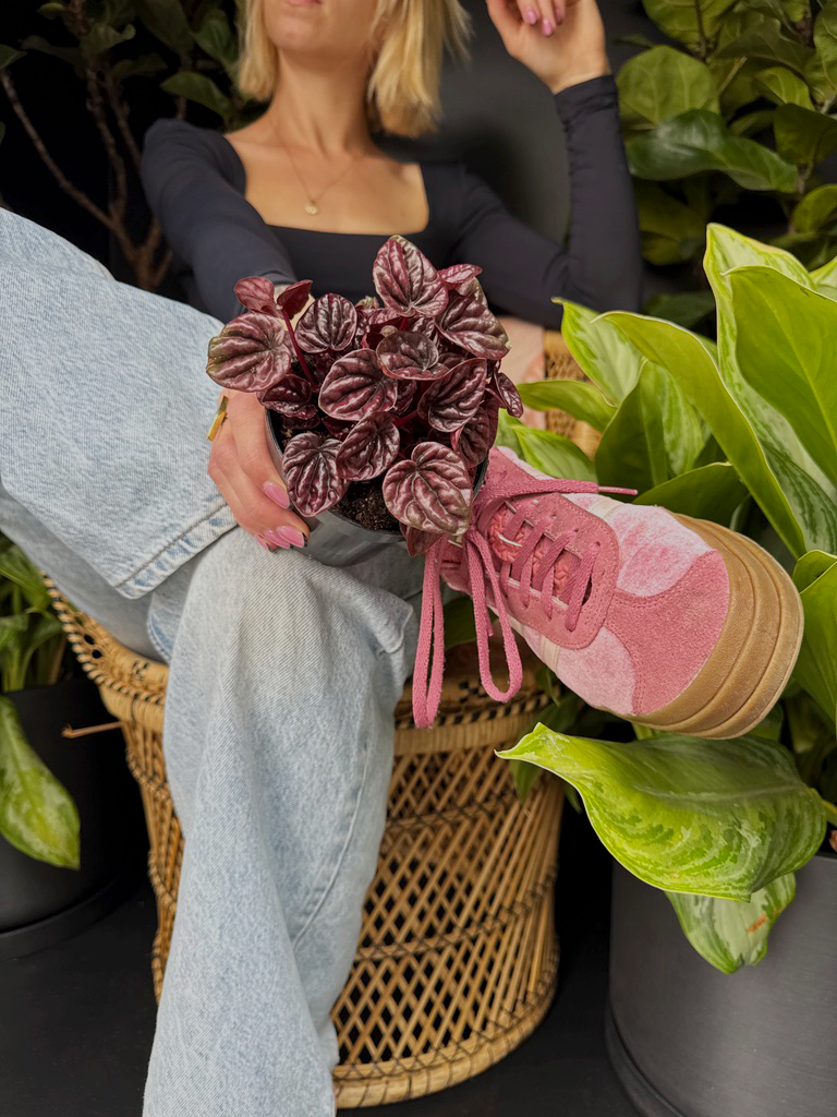 Person sitting with pink sneakers and a plant, surrounded by greenery
