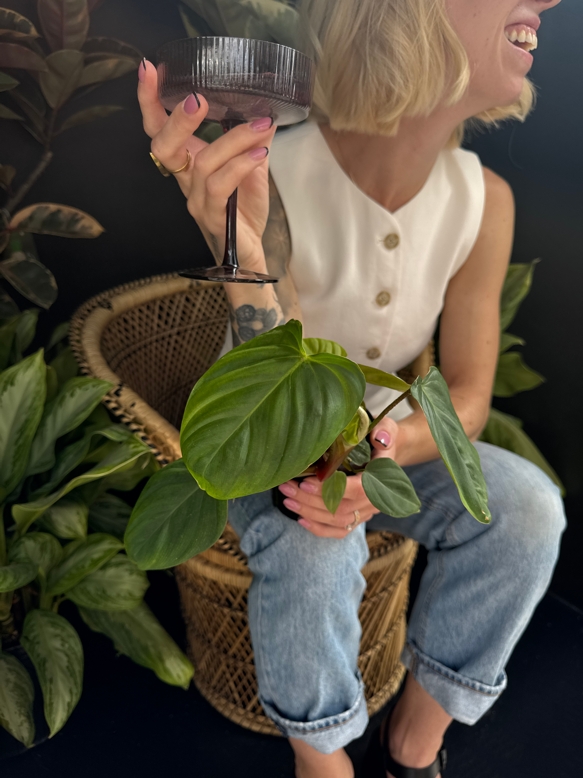 Person holding a plant and a glass and a green leafy Philo-Fuzzy Petiole plant sitting on a wicker chair with plants and a dark background