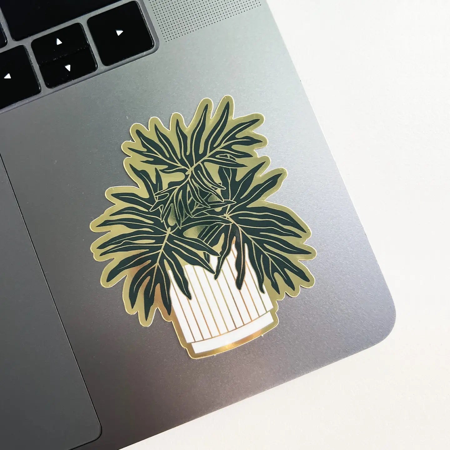 Laptop with a plant-themed sticker on a white background