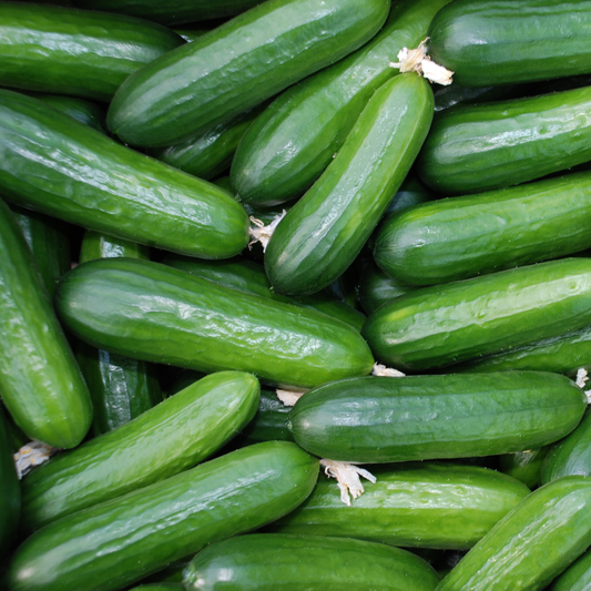 a pile of bright green small quick snack cucumbers covering the whole screen