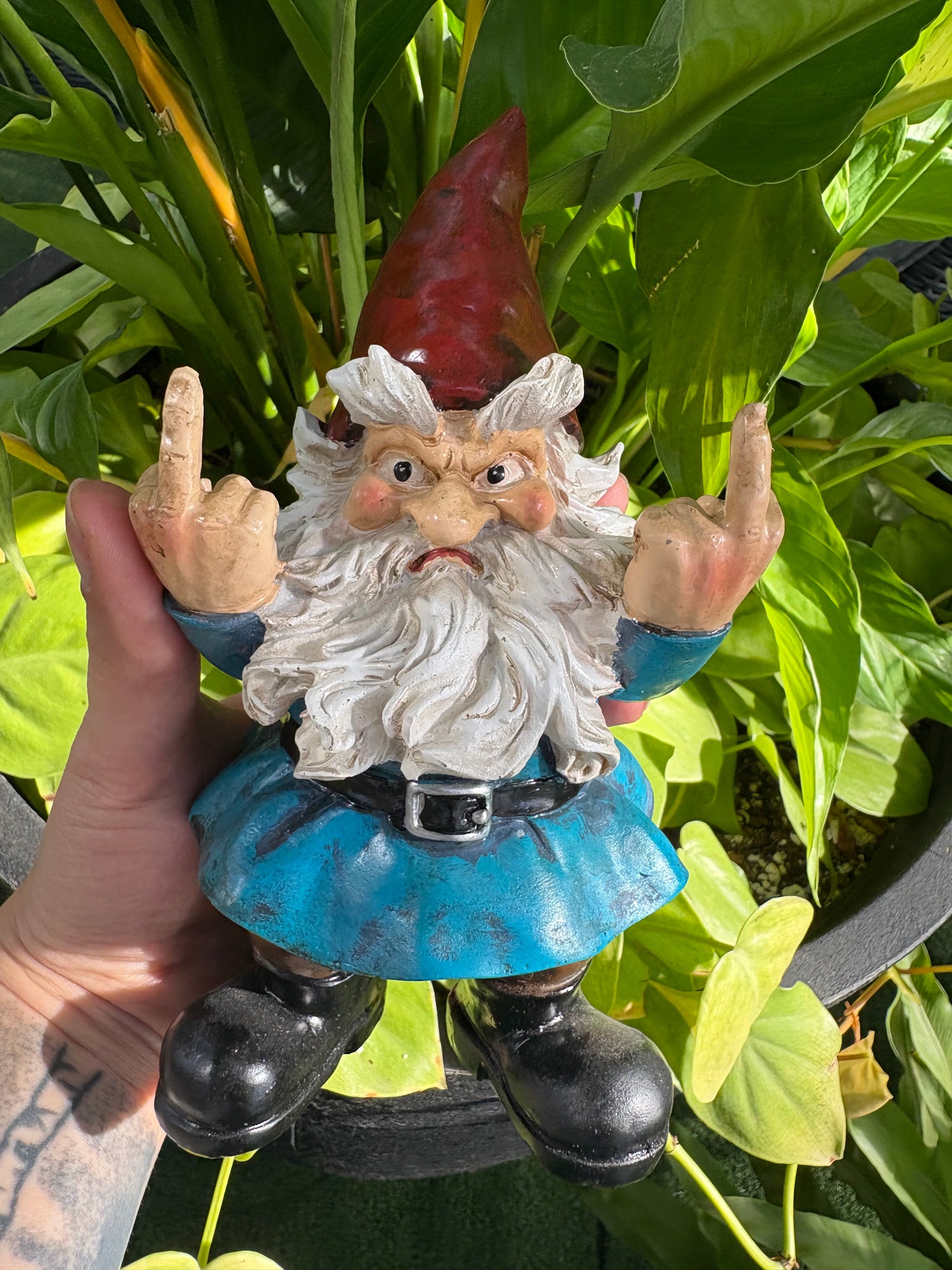 gnome figurine in a blue shirt giving two middle fingers infront of plant background