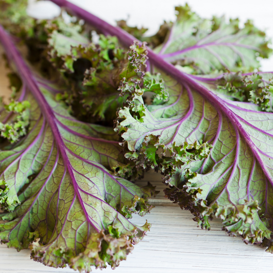 the ruffled leaves of red Russian kale with purple centres and green ruffly leaves on a wooden surface