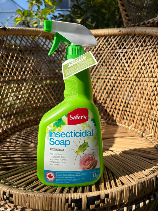 Green Spray Bottle of Safers Insecticidal Soap sitting on a wicker chair