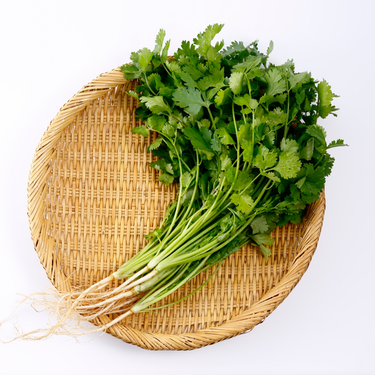 a round wicker baskett with a handful of Santo cilantro on stems with a white background