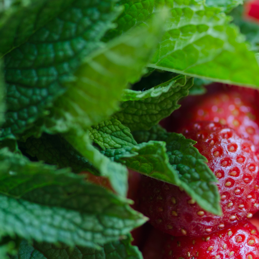 bright green mint leaves with some out of focus with bright red strawberries next to the leaves