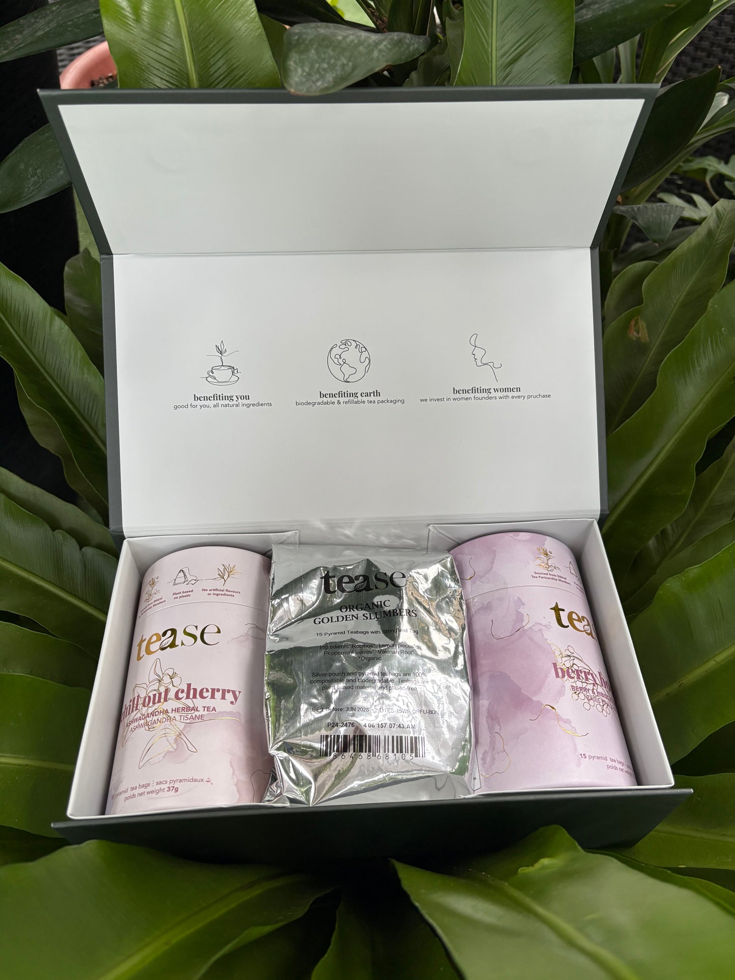 a tea box set with 2 tea cans and a refill bag against a leafy background