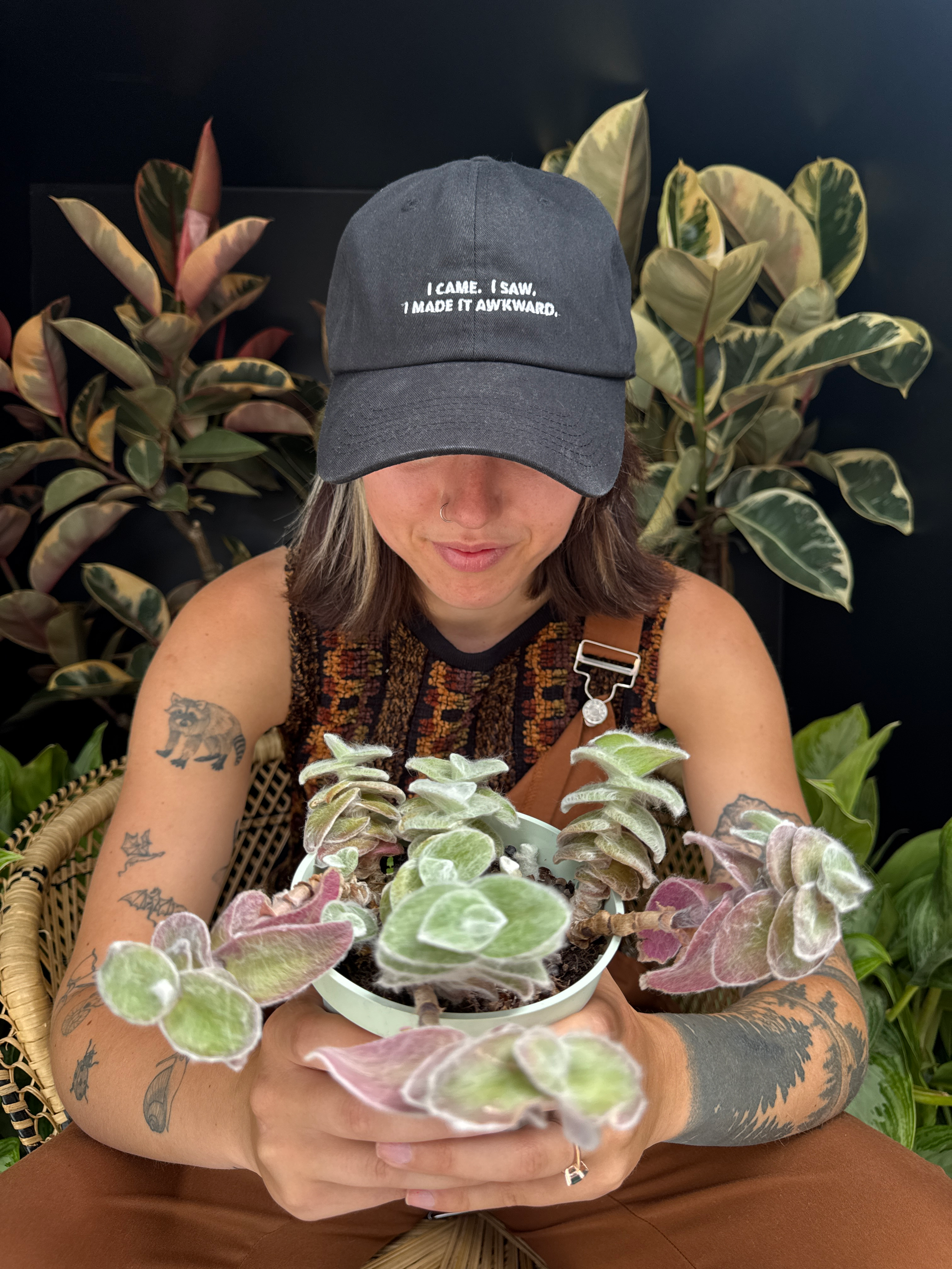 Person holding a fuzzy green and purple Tradescantia Velvet White plant with plants in the dark background
