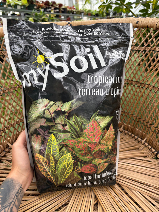 Bag of tropical soil with plant images on a woven chair