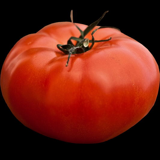 a bright red large wonder star red tomato with a green stem against a black background