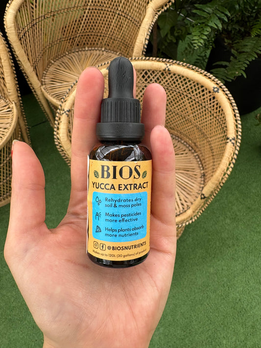 hand holding bottle of Yucca Extract in front of wicker chairs