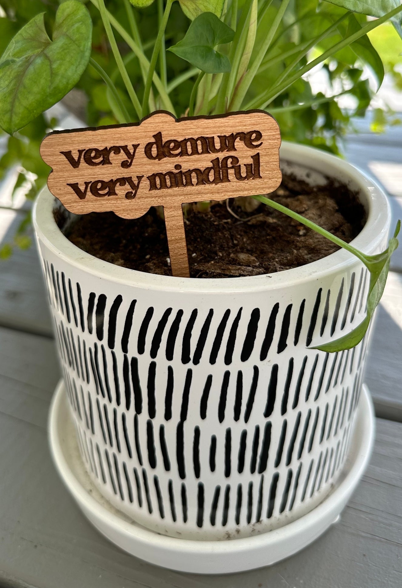 Punny Plant Stakes/ Funny Plant Markers