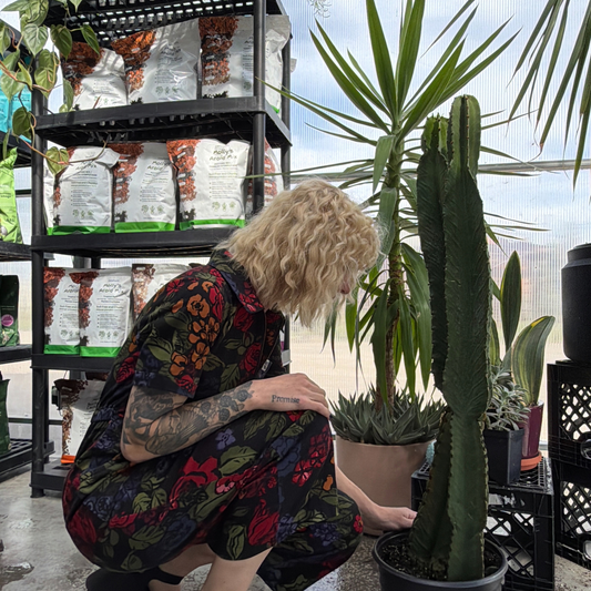 a person in a colourful floral jumpsuit crouched down looking at a potted African candelabra tree in a greenhouse setting