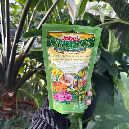 a person holding a green package of jobs organics ask purpose fertilizer spikes with images of flowers on the front with many tropical plants in the background