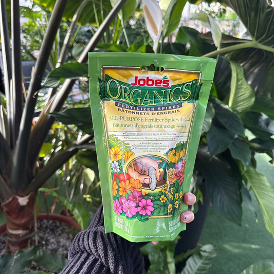 a person holding a green package of jobs organics ask purpose fertilizer spikes with images of flowers on the front with many tropical plants in the background