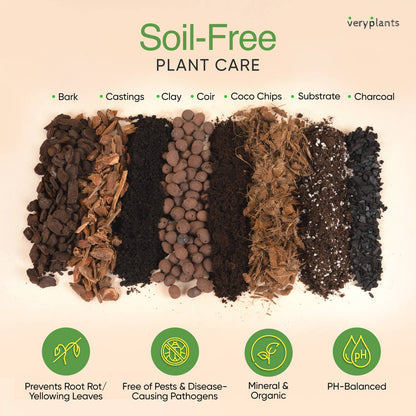 a selection of soil free plant care substrates laid out on a white surface