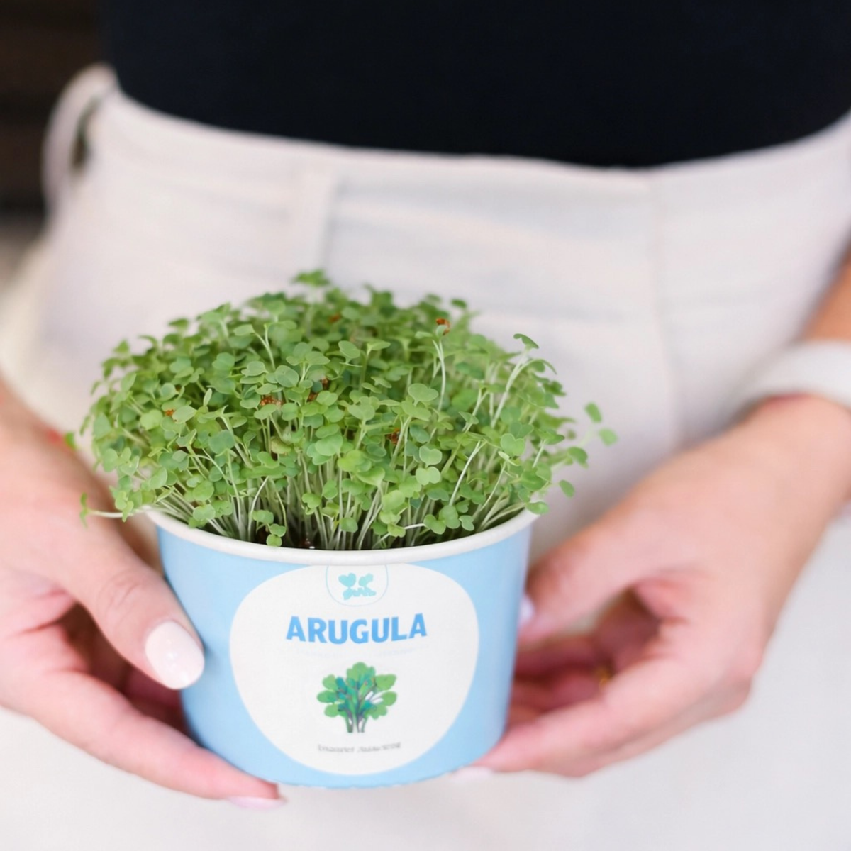 an image of someone wearing cream white pants and a black top  holding a blue pot labeled arugula with arugula micro greens growing out of the top